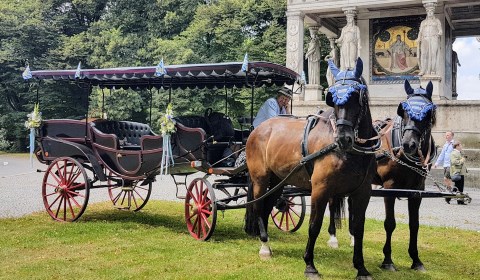 Kutscherei Markus Wimmer, Hochzeitsauto · Kutsche Hohenlinden, Kontaktbild